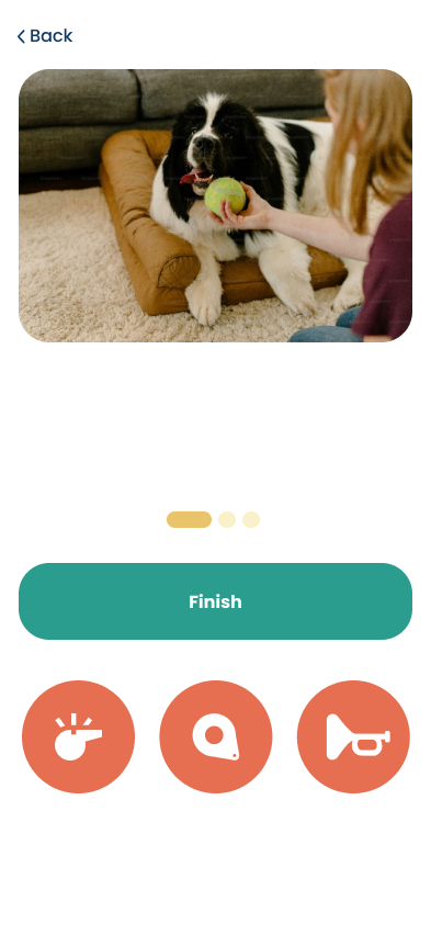 Wiggles video exercise screen